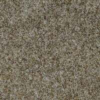 Marine Carpet Seashell  (Premium Colour) Per L/metre